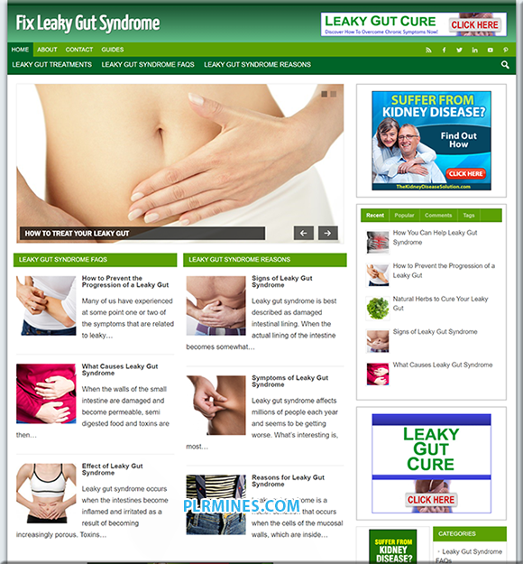 Leaky Gut Treatment Ready-Made Website